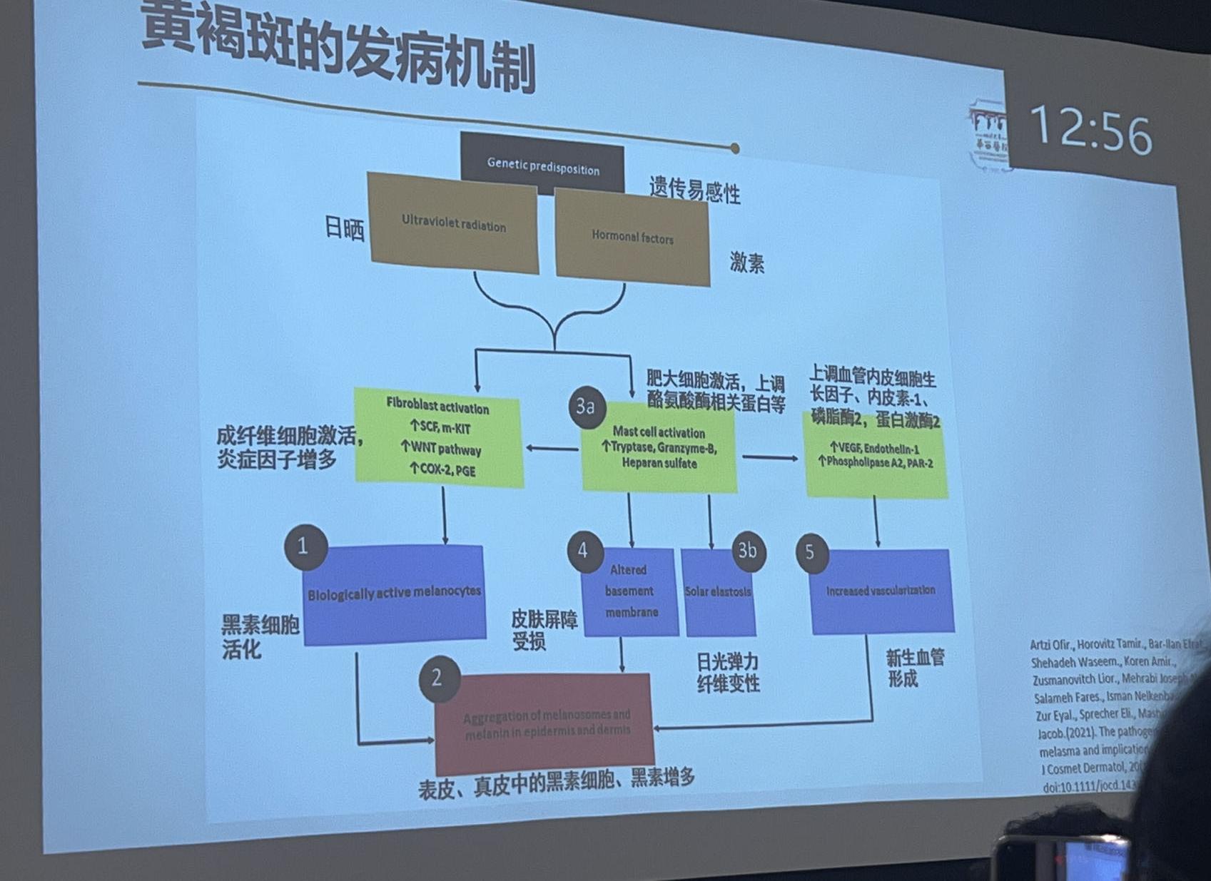 茉莉之白_85.jpeg